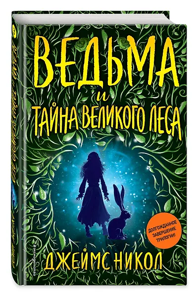Ведьма и тайна Великого леса (#3) - фото 3