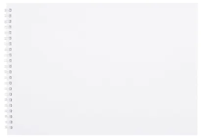 Альбом для рисования 40л А4 "Поле одуванчиков" гребень, мел.картон, мат.ламинация, выб.лак - фото 2