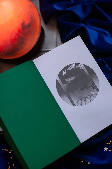 Луна 84. Перерождение - фото 11