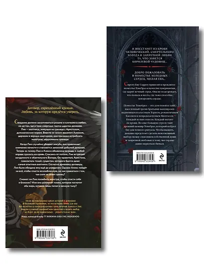 Комплект из 2-х книг: Демон Пепла и Слез + Дом холодных сердец - фото 2