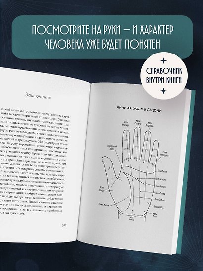 Хиромантия. Полный практический курс по чтению линий судьбы - фото 7