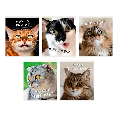 Тетрадь в клетку Listoff, "Котики", 96 листов - фото 3