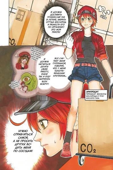 Клетки за работой. Том 2 (Hataraku Saibou). Манга - фото 2