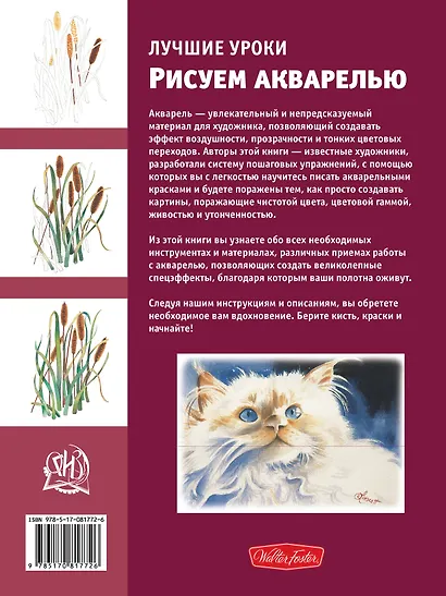 Лучшие уроки. Рисуем акварелью - фото 2