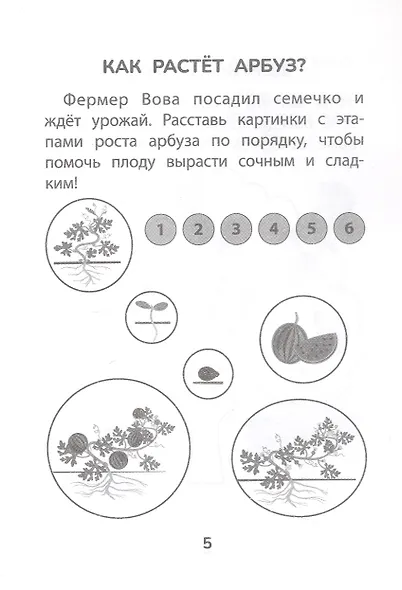 Прятки с природой: готовимся к школе - фото 4