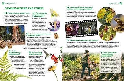 Наша планета: загадочные и удивительные факты - фото 12