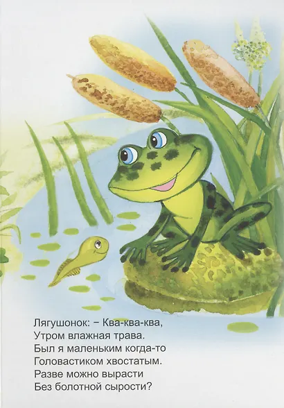 Утренние голоса - фото 5