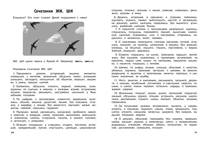 Русский язык. Тренировочные задания. 3 класс - фото 4