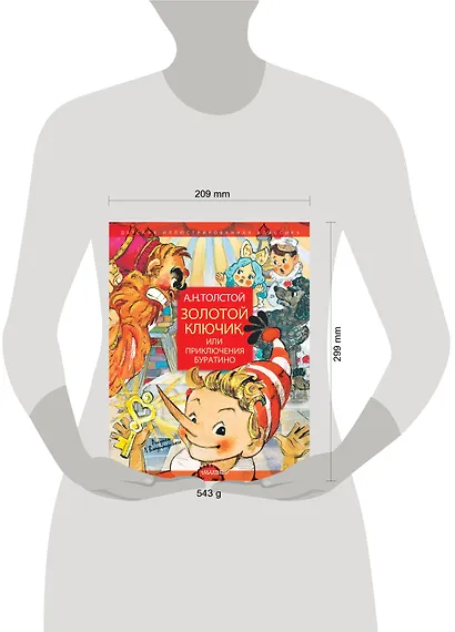 Золотой ключик, или Приключения Буратино. Рисунки Л. Владимирского - фото 4