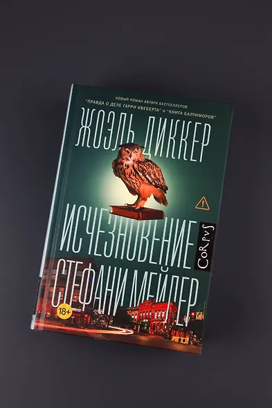 Исчезновение Стефани Мейлер - фото 4