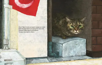 Кот без имени - фото 3