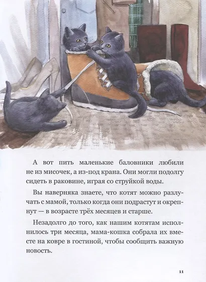 Приключения кота Альфреда - фото 4