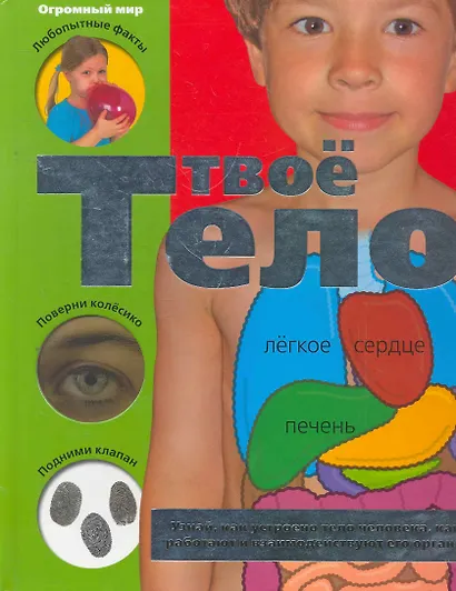 Твое тело - фото 1