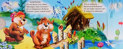 Лесные животные - фото 3