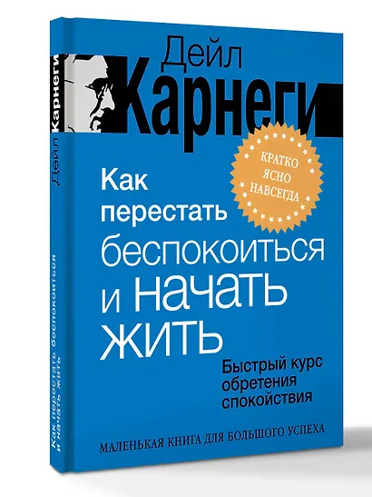 Как перестать беспокоиться и начать жить. Быстрый курс обретения спокойствия - фото 3