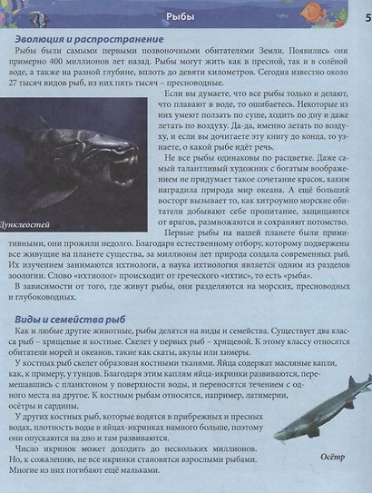 Подводный мир. Энциклопедия - фото 4
