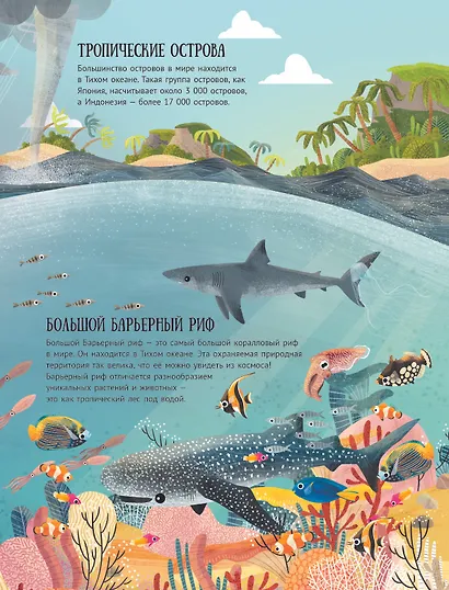 Путеводитель по подводному миру - фото 9