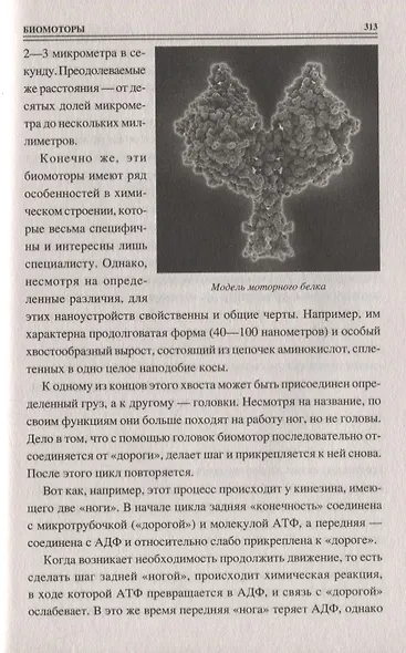 100 великих "изобретений" природы - фото 7