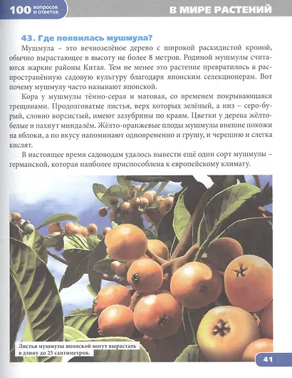 Я познаю мир - фото 5