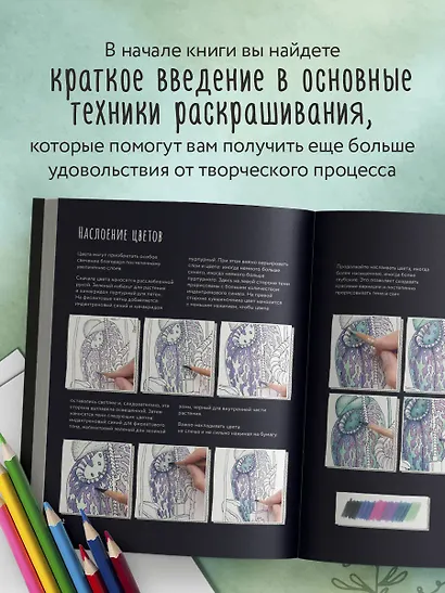 Загадочная природа. Авторские иллюстрации флоры и фауны для раскрашивания - фото 5