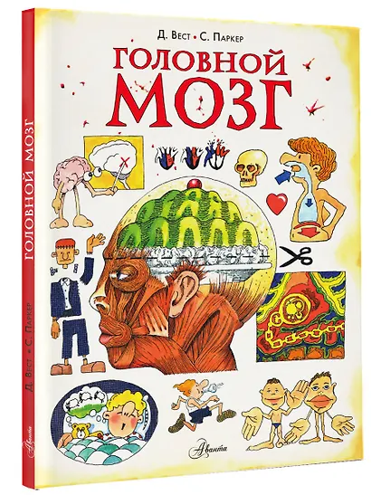 Головной мозг - фото 3