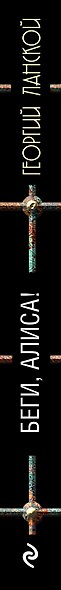 Беги, Алиса! - фото 5