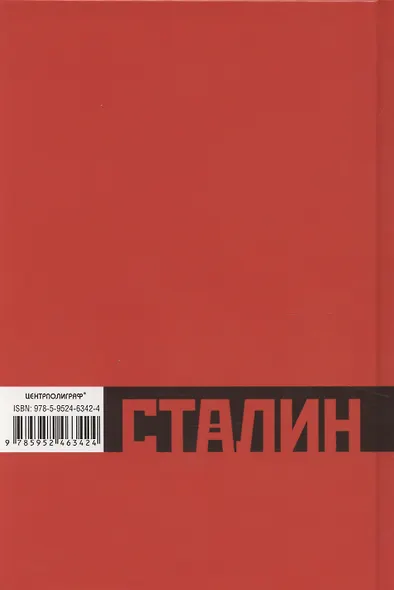 Сталинреволюционер. Путь к власти. 1879—1929 - фото 2