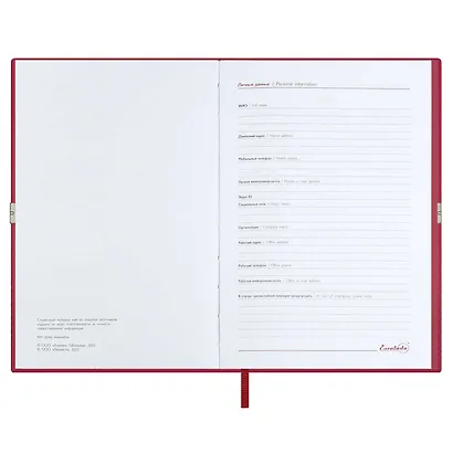 Ежедневник дат. 2026г. А5 176л "Тиволи глосс" красный, кожзам, мягк. переплет, застёжка-резинка, блинт.тиснение, офсет, справ.мат-лы, ляссе, инд.уп - фото 6