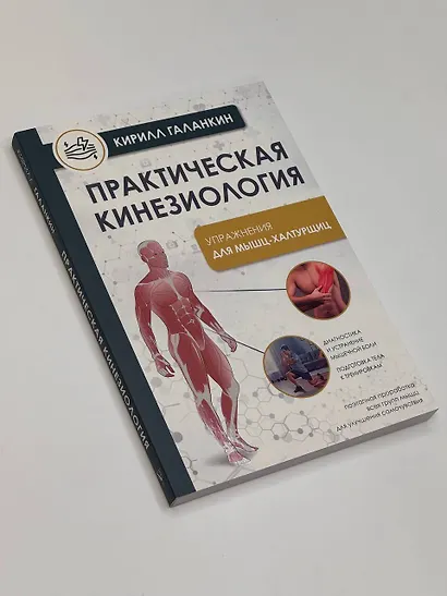 Практическая кинезиология. Упражнения для мышц-халтурщиц - фото 4