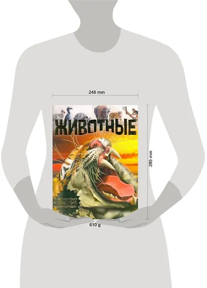 Животные - фото 2