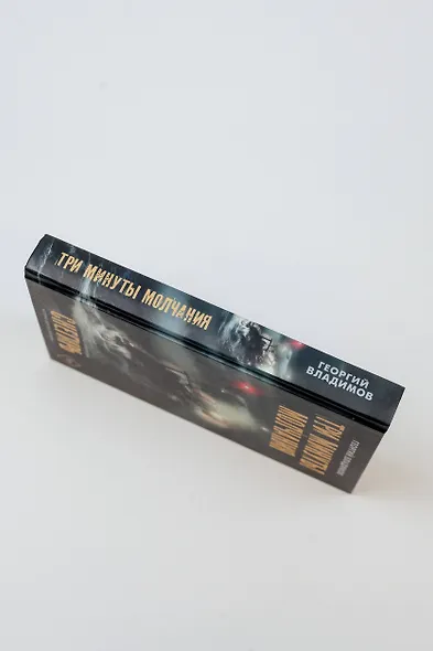 Три минуты молчания. Снегирь - фото 9