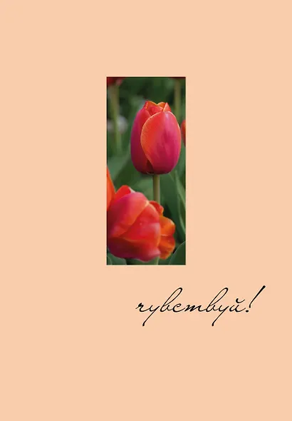 Ежедневник недат. А5 72л "Чувствуй!" - фото 1