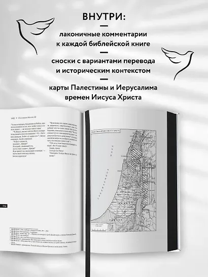Библия: в современном русском переводе - фото 5