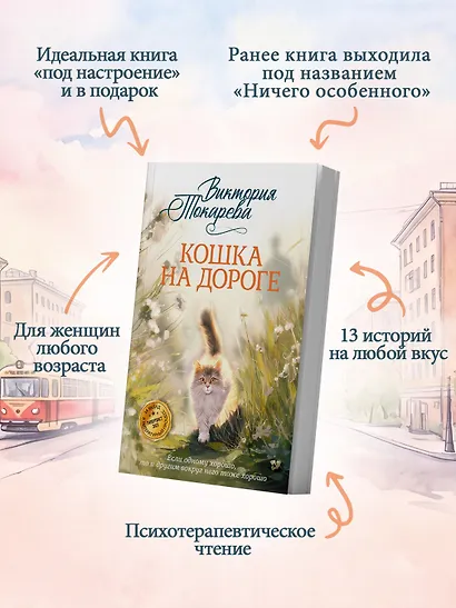 Кошка на дороге - фото 5