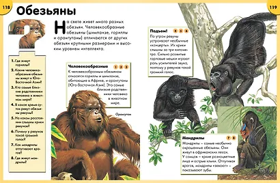 Обо всём на свете в вопросах и ответах. Энциклопедия - фото 7