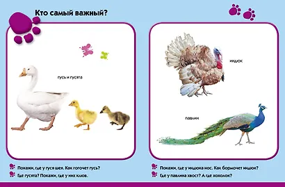 На ферме. Развиваем малыша (0-1 год) - фото 5