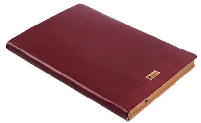 Книга для записей А5, 96 листов, нелинованная/в линейку, бордовая, Schiller - фото 5