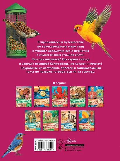 Птицы - фото 2