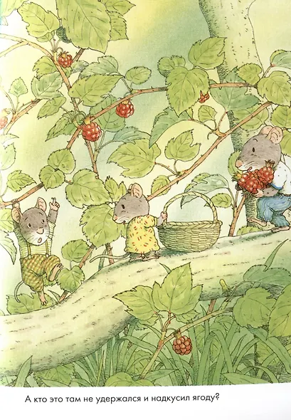 14 лесных мышей. Завтрак - фото 6