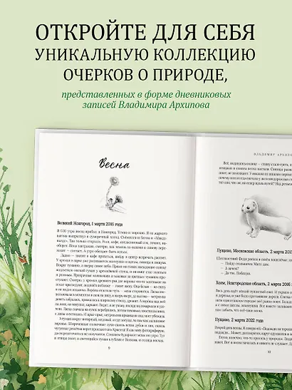 Жужжание жука. Полевые и не очень дневники орнитолога - фото 5