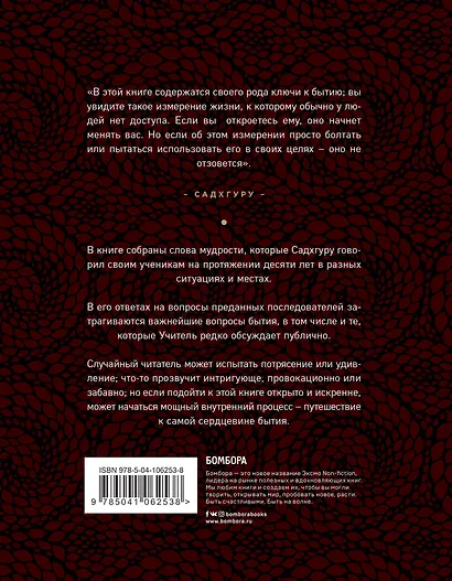 Размышления мистика. Ответы на все вопросы (бизнес) - фото 2