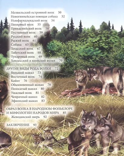 Волки - фото 7