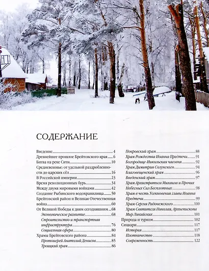 Брейтовский край. История. Культура. Природа. Достопримечательности. Люди. 3-е издание, исправленное и дополненное - фото 3