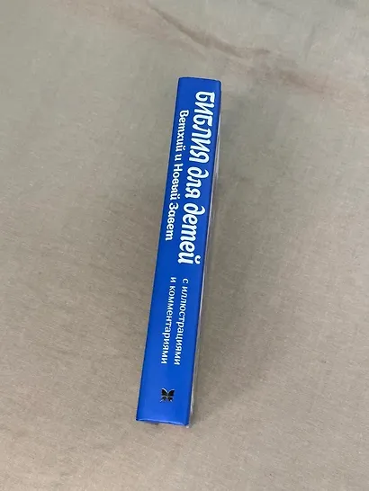 Библия для детей. Ветхий и Новый Завет с иллюстрациями и комментариями - фото 8