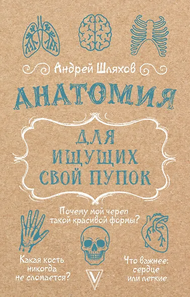 Анатомия для ищущих свой пупок - фото 1