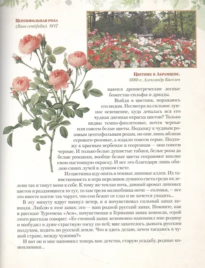 Дары русского леса. Грибы, ягоды и целительные растения - фото 5