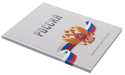 Дневник для ср. и ст.кл. "Россия. Серый" 7БЦ, глянц.ламинация - фото 2