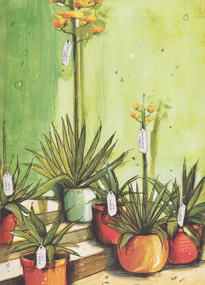 Вижу - не вижу - фото 3