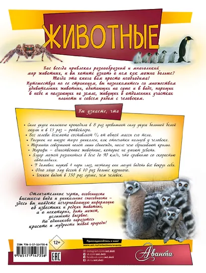 Животные - фото 2