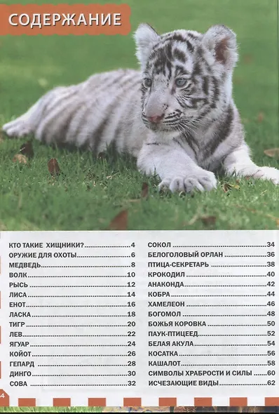 Хищники - фото 2